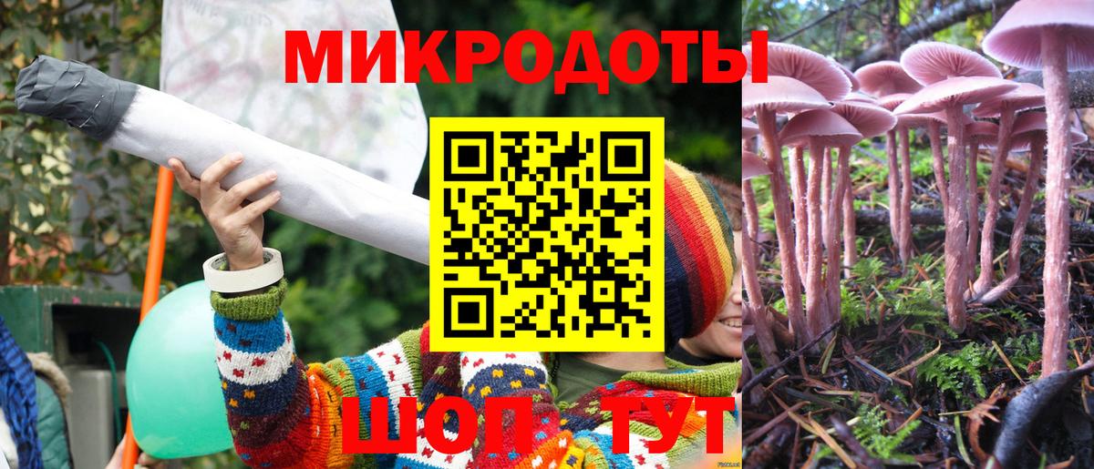 Псилоцибиновые грибы GOLDEN TEACHER  Галлюциногенные грибы прущие грибы  Алексеевка  Вход с VPN 