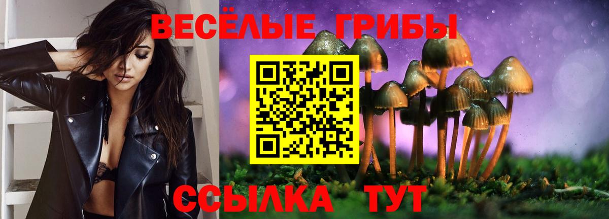 Галлюциногенные грибы Psilocybine cubensis Алексеевка